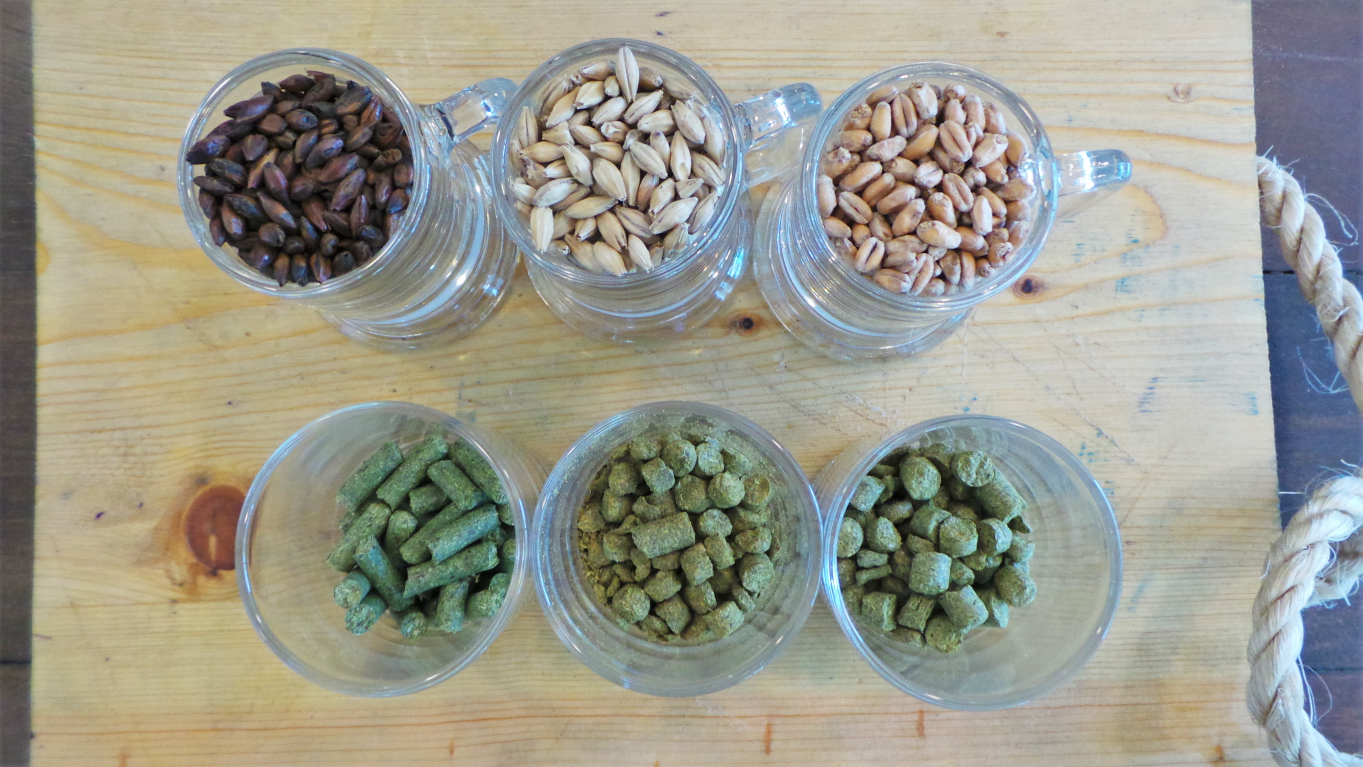 Tropic Haze, Bliss Point, Midnight Blur, Sunstoked, Mr. Graham's Sandwich Shop, Where to eat in Manila, Restaurants near Tomas Morato, Craft Beer by Nipa Brewery, How to make beer, Craft Brewery in Metro Manila,